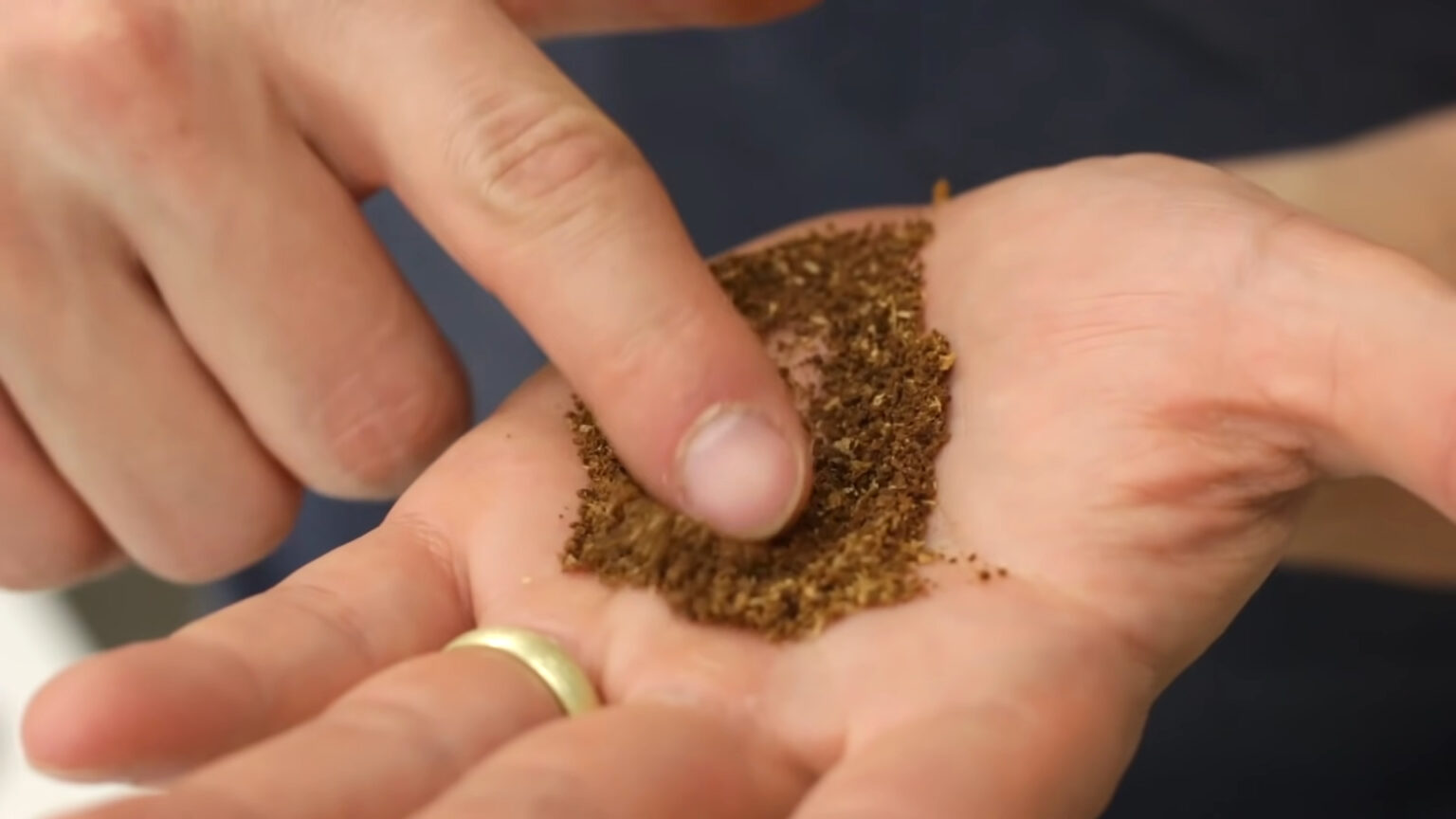 A Complete Crash Course How to Use a Moccamaster The Hearty Brew